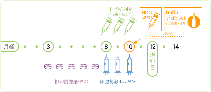 GnRhアゴニスト(点鼻薬)投与